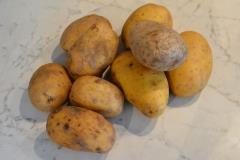 Pommes1