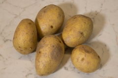 Kartoffelrosen6