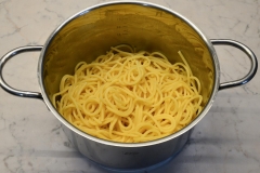 Spaghettinester1