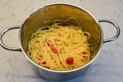 Spaghettinester2
